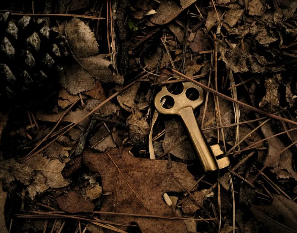 A brass key resting among dry autumn leaves